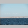 hurghada_2009_0019.jpg
